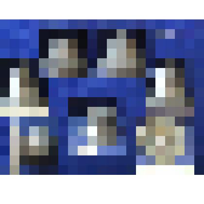 Колоколец  поддужный