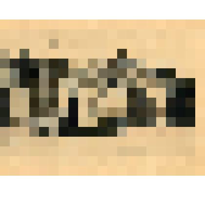 Лист. Музей Севастопольской обороны. Из альбома "Виды Севастополя"