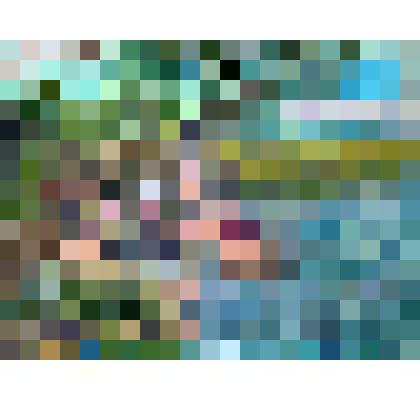 Деревенская тусовка