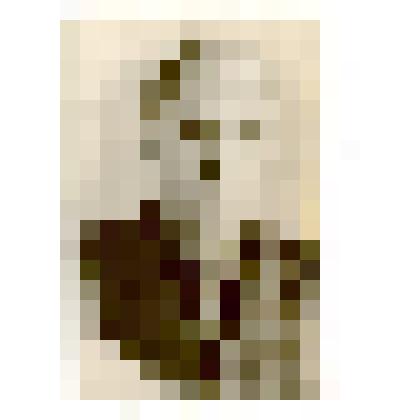 Фотография. Архипов Михаил Павлович, помощник начальника Кривинского райреввоенштаба красных партизан в 1919 году. Копия