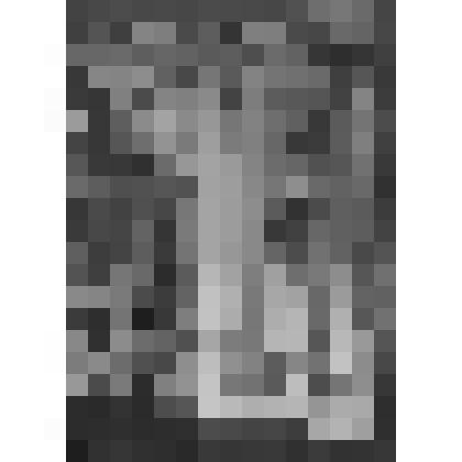 Большой дворец. Куропаточная гостиная. Южная стена. Фрагмент