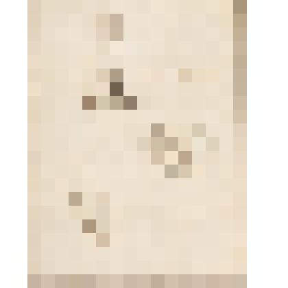 Лисицы, из альбома  «190 пейзажей; зарисовки, иллюстрации, карикатуры»