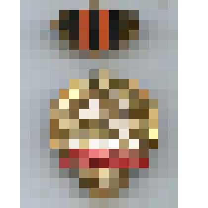 Нагрудный знак "Ветеран тыла"в связи с 50-летием Победы в Великой Отечественной войне 1941-1945гг. Алексеева В.В