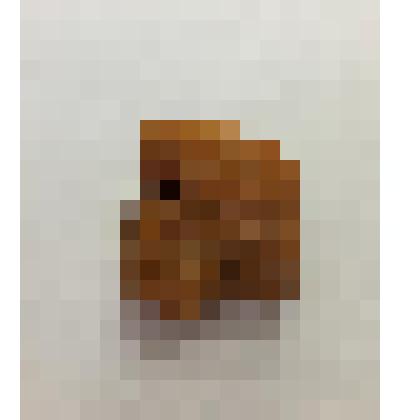 Ископаемая смола. Янтарь