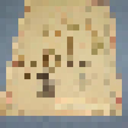 Ботаническая коллекция. Калужница болотная, на гербарном листе, Минусинский район, окрестности Минусинска. Ronunculaceae Caltha palustris L