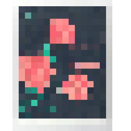 Книги. Книга "Человек приносит солнце". - Абакан: Хаккнигиздат, 1963