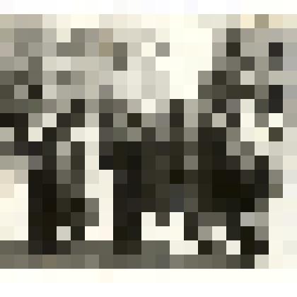 Фотография. «Кульбертинов в Новгороде»