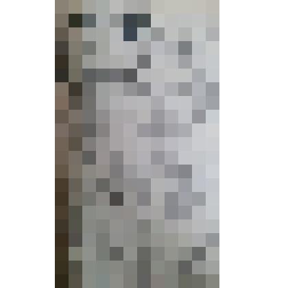 Газета "Адлерская правда"
№72 (3344) от 16.06.1961 г