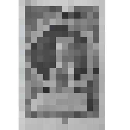 Портрет Марии Луизы, герцогини Тосканской