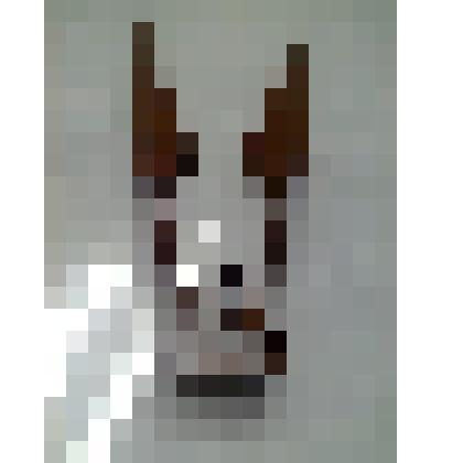 Предметы быта