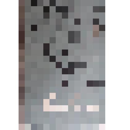 Книга Г. Боровикова "Ливень"