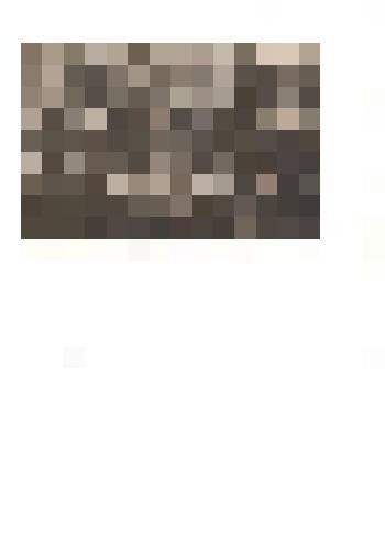 Фотография ч/б. Учащиеся Тюменцевской средней школы