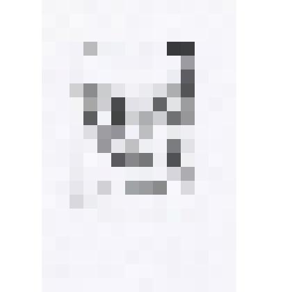 Экслибрис Цыплакову С.Ю. М.Ю. Лермонтов