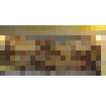 Диорама  Прохоровского танкового сражения