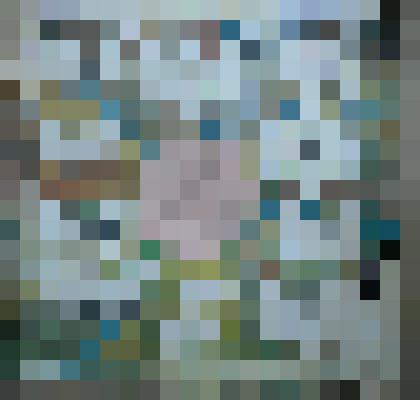 Грампластинка   в бумажном конверте "Микаэл Таривердиев."