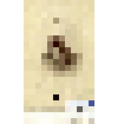 Фотография черно-белая. Голенко Михаил Александрович