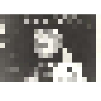 Истиляева, ОПХ Советская Россия – фото у знамени