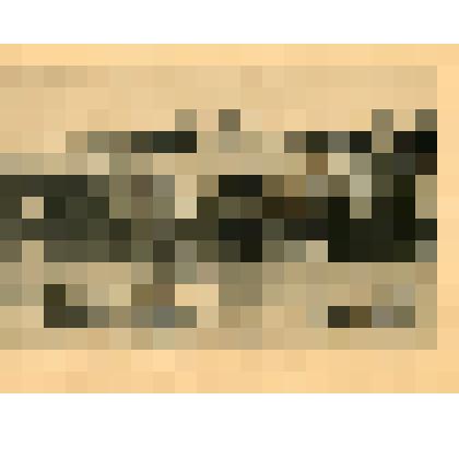 Лист. Вид города с Артиллерийской бухты. Из альбома "Виды Севастополя"