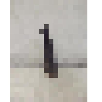 Сапог мужской яловый,  левый