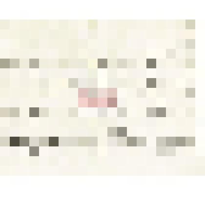 Письмо В. Радлова Н.М. Мартьянову с благодарностью за помощь Естифееву, в снятии эстампов с изваяний с руническими письменами, которые он получил, обещанием прислать «Атлас древностей Монголии» как только он выйдет в свет