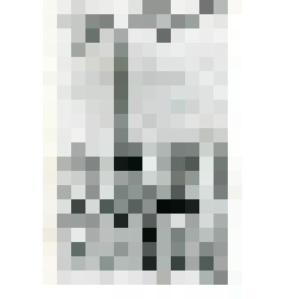 Фотокопия. Памятник И.Д. Черскому в пос. Колымском. Установлен в 1947 г. колымским речным управлением Дальстроя МВД СССР