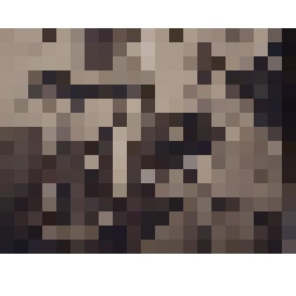 Фотография. Поляновский М.Л., Кассиль Л.А., Лозгачев-Елизаров Г.Я