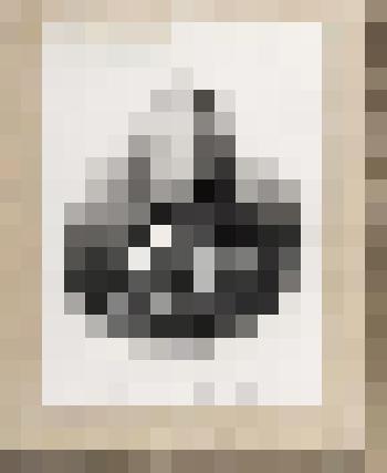 Портрет Н.А. Небольсина