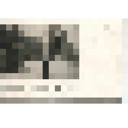 Открытка. Л.Н.Толстой.Репродукция с фотографии В.Г.Черткова. 1908г