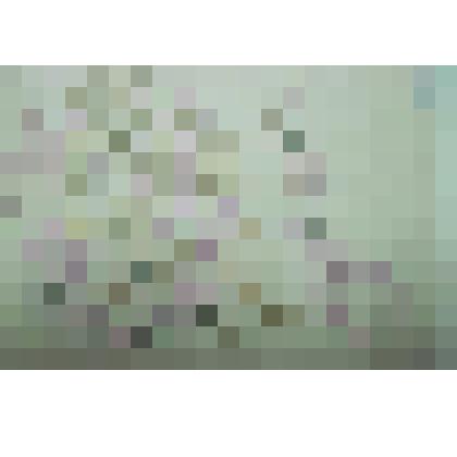 Орнамент. Цветок. Рисунок