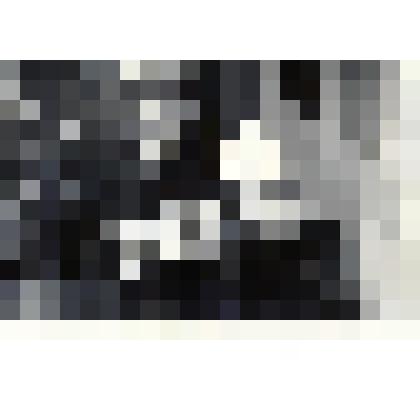 Фотография черно-белая. Портрет Жилкиной Е