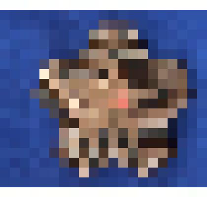 Значок  с изображением звезды