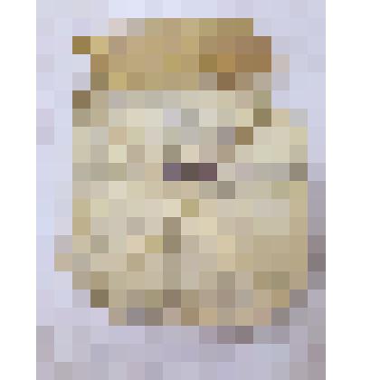 Письмо с фронта Андреева Федора Николаевича