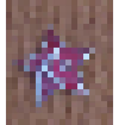 ЗВЕЗДОЧКА КРАСНОАРМЕЙСКАЯ, ПОКРЫТАЯ ЭМАЛЬЮ