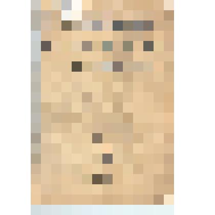 журнал" Начальная школа"