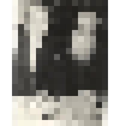 Фотография Мызгин И.М. читает газету «Правда»