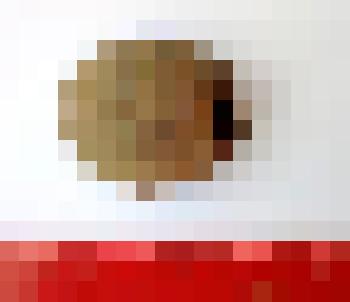 Грузило для рыболовных сетей (фрагмент)