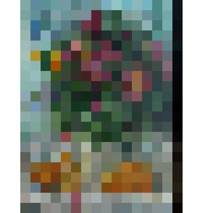 Картина. Марьи-коренья