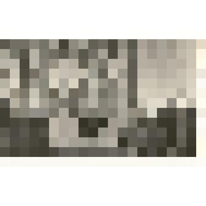 Фотография: доярки племфермы совхоза "Боровой" на занятии кружка пополняют свои зооветеринарные знания. Занятие ведет зоотехник-селекционер И.П.Чернышев