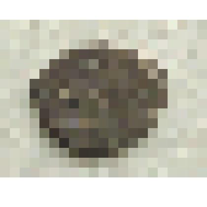 Монета. Копейка. Копейка Петра I Алексеевича