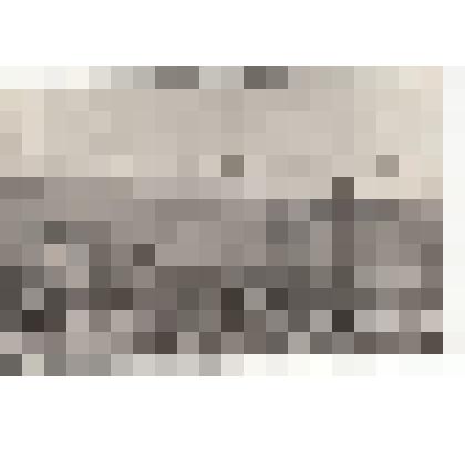 Фото/чб. Энгельсская опытно-мелиоративная станция (ВОЛЖНИИГИМ). Универсальная дождевальная установка ДДА-100 м в поле яровой пшеницы. 1960-1970-е