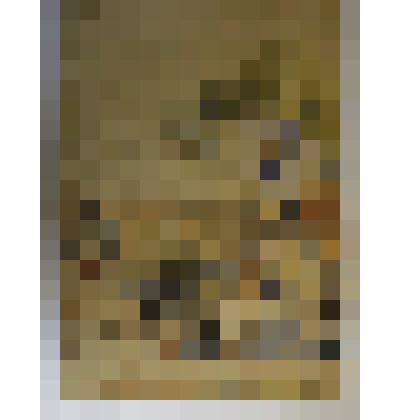 «Во дворе. Жена с дочкой»