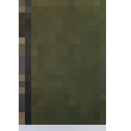 Энциклопедия Брокгауза и Эфрона. Том 14 (Внутри т.VIIa)