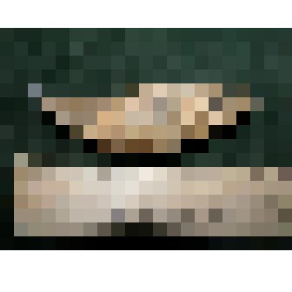 Коллекция археологических находок из раскопок 1971 года на Труворовом городище Изборска. Амулет из клыка медведя