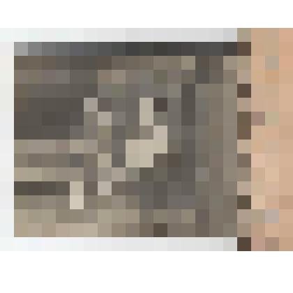 Фотография ч/б. Портрет Челищева Б.Г. в детстве