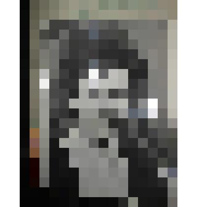 Кабат Людмила Васильевна  директор Н - Старинской 8-летней школы