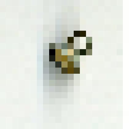 Пуговица для одежды