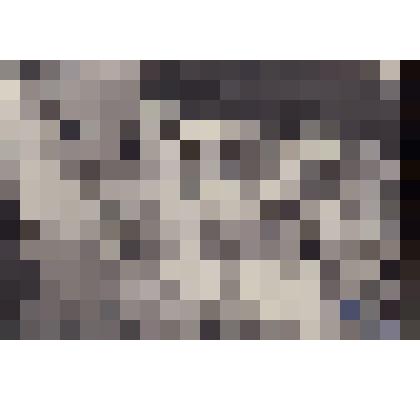 Фотография. Кассиль Л.А., неизвестные на стадионе