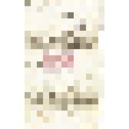 Письмо И. Боголюбского Мартьянову с благодарностью за полученное письмо и книжку с листами пожертвований, обещанием организовать сбор средств, о своих планах по устройству станции сельскохозяйственной