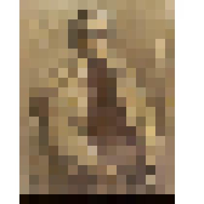 Портрет художника В.А.Игошева