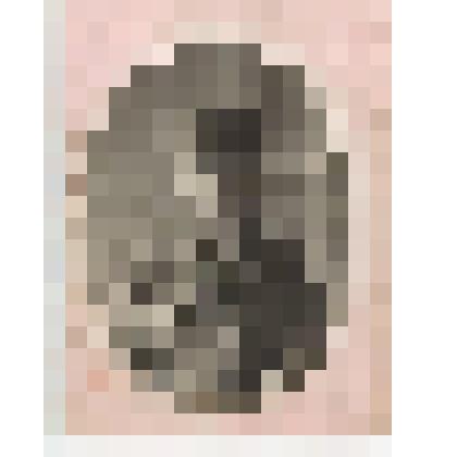 Фотография. Пономарев Владимир Пантелеймонович. на паспарту